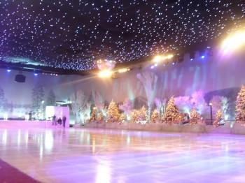 SnowParties.com also makes real or synthetic ice skating rinks! Call us today toll-free (877) 254-1268 